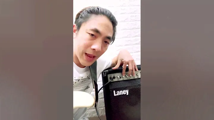 มือใหม่ซื้อแอมป์อะไรใช้ดี EP2 Laney RB2 #basslessons #สอนเบส