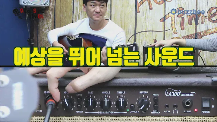 LANEY 어쿠스틱앰프 LA30D